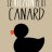 canard