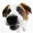 Rex-le-chien
