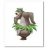 Balooquestions