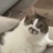 Wil_Billiamson