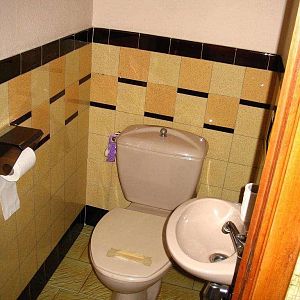 Antique WC