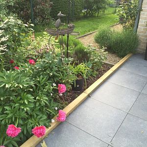 Terrasse sur plots